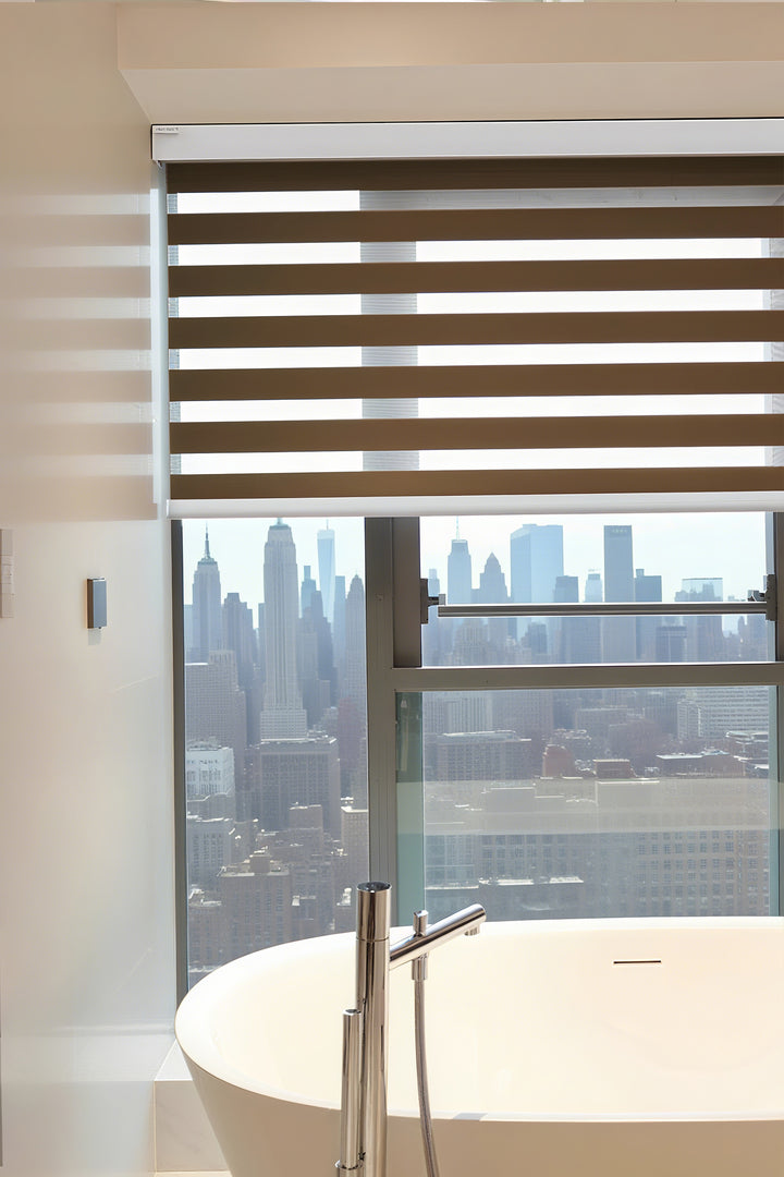 Radiant Sheer Zebra Curtains in Solid Hues