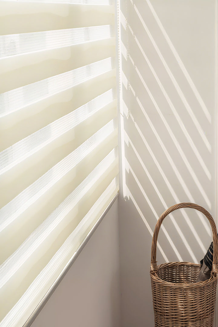 Radiant Sheer Zebra Curtains in Solid Hues