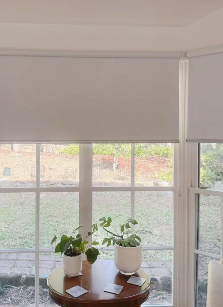 RoyalGuard Absolute Blackout Moisture-Proof Fire-Resistant Premium Roller Shade
