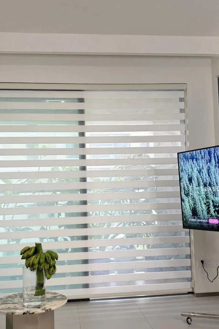 Radiant Sheer Zebra Curtains in Solid Hues