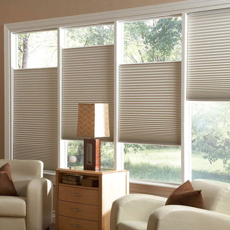 Living room with beige blackout pleated shades on large windows, modern furniture, table lamp