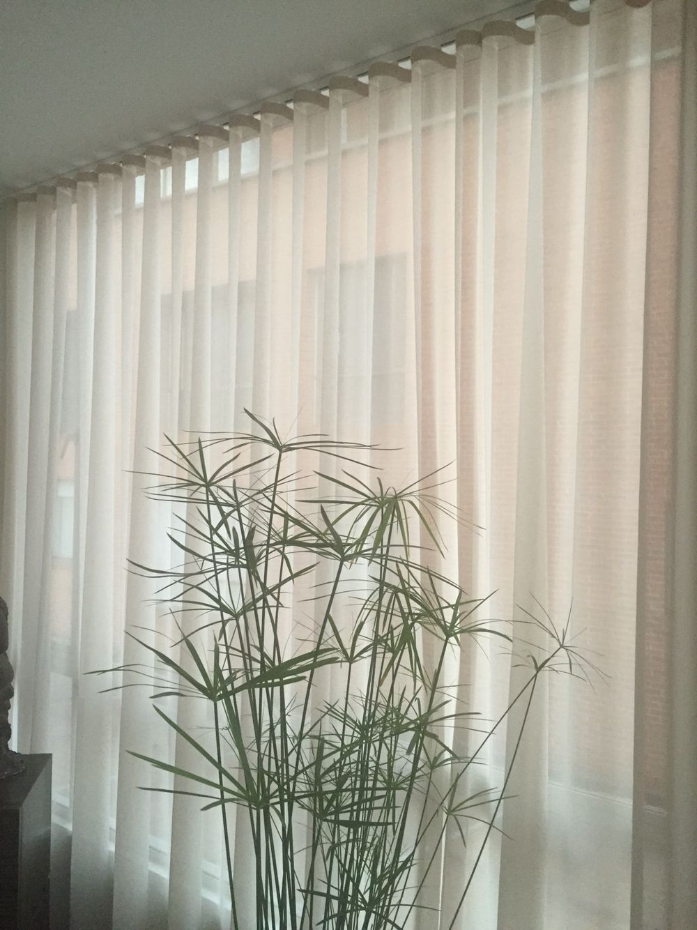 curtain ripple fold installed in a modern living room with ceiling track