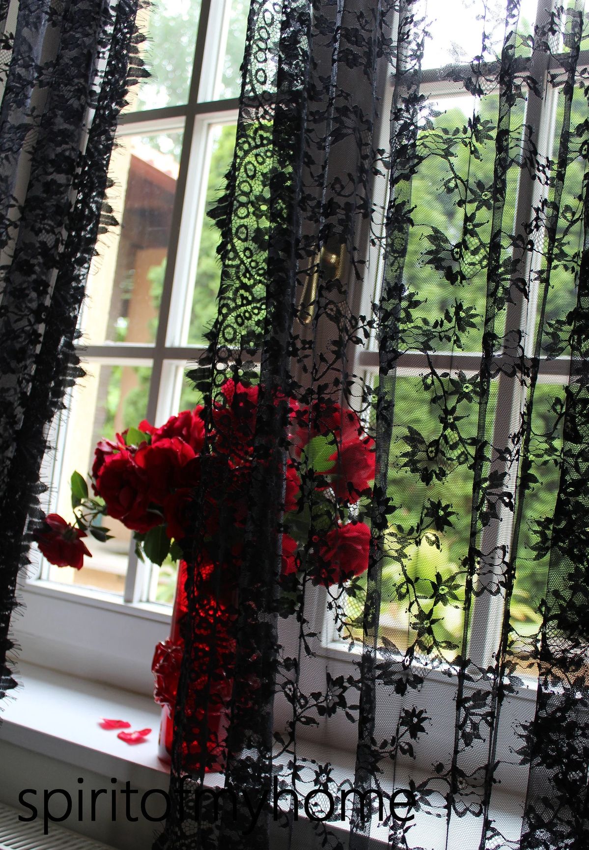 Sheer black lace curtains with floral pattern, red roses in a vase on window sill