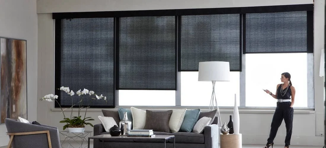 Modern living room with black blackout blinds, contemporary sofa, and floor lamp