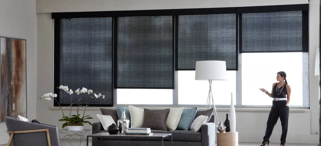 Modern living room with black blackout blinds, contemporary sofa, and floor lamp