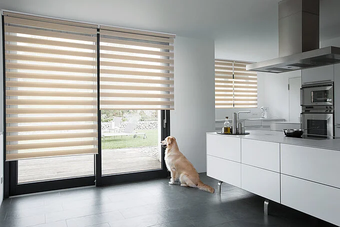 modern window with layered double blinds in a stylish living room