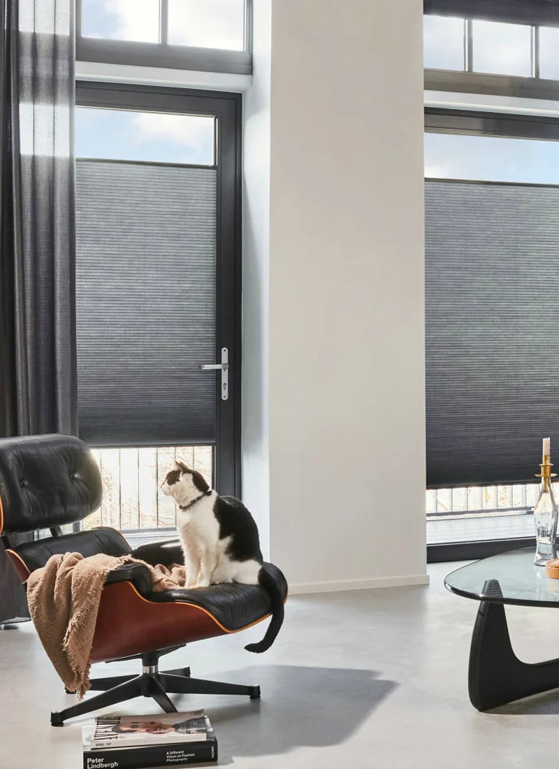 ‌Aurora Haze Honeycomb Blinds