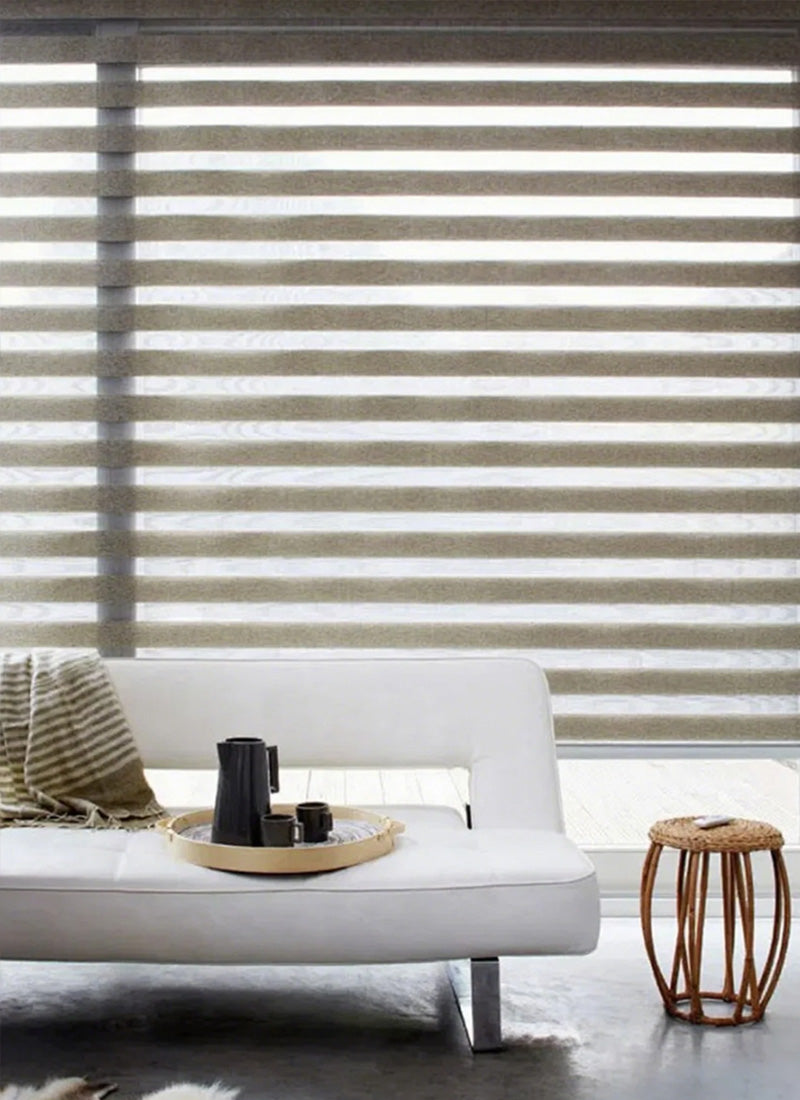 Radiant Sheer Zebra Curtains in Solid Hues