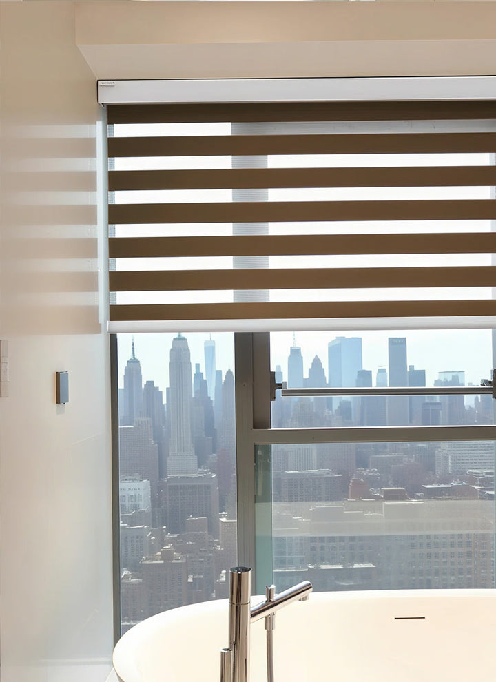 Radiant Sheer Zebra Curtains in Solid Hues