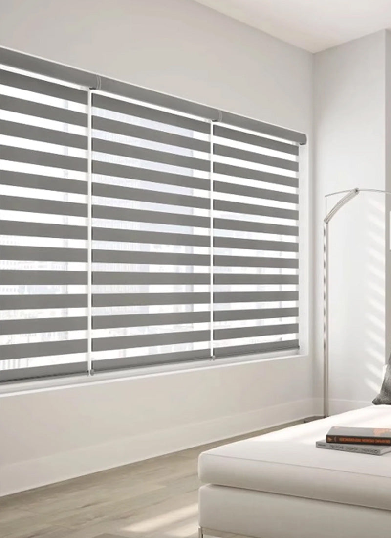 Radiant Sheer Zebra Curtains in Solid Hues